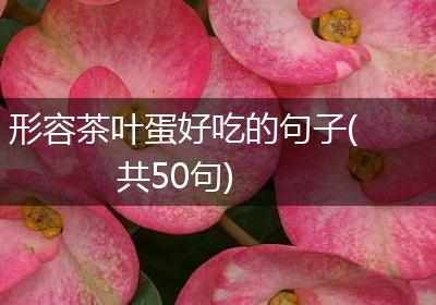 形容茶叶蛋好吃的句子(共50句)