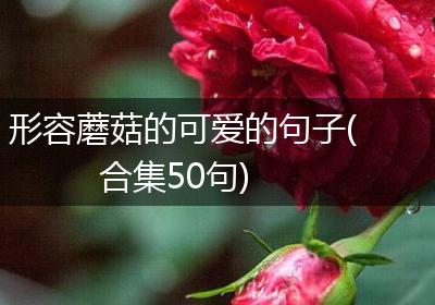 形容蘑菇的可爱的句子(合集50句)