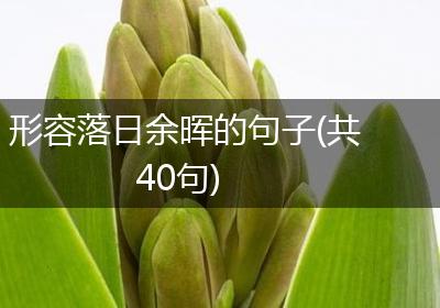 形容落日余晖的句子(共40句)