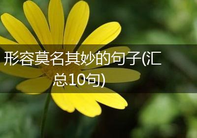形容莫名其妙的句子(汇总10句)