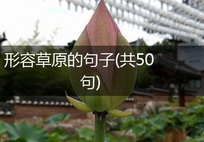 形容草原的句子(共50句)