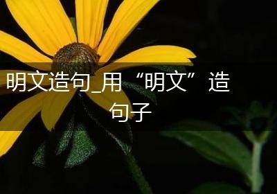 明文造句_用“明文”造句子