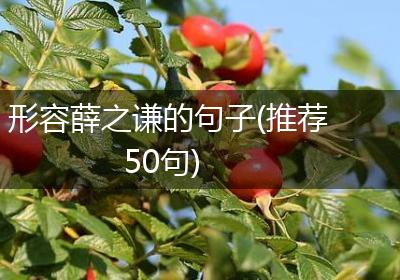 形容薛之谦的句子(推荐50句)
