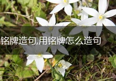铭牌造句,用铭牌怎么造句