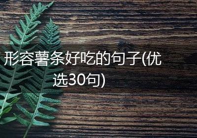 形容薯条好吃的句子(优选30句)