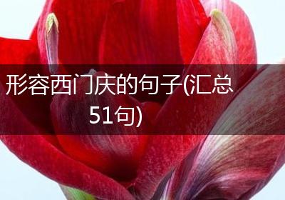 形容西门庆的句子(汇总51句)
