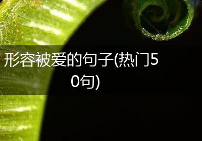 形容被爱的句子(热门50句)