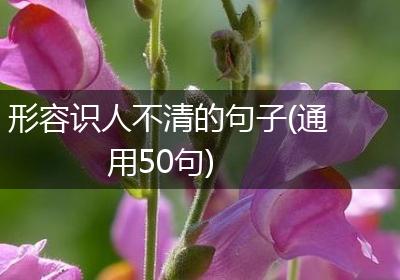 形容识人不清的句子(通用50句)