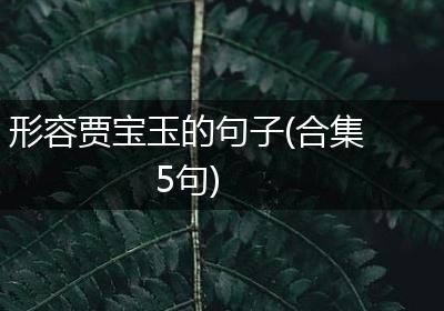 形容贾宝玉的句子(合集5句)