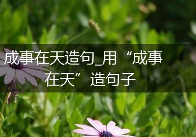 成事在天造句_用“成事在天”造句子