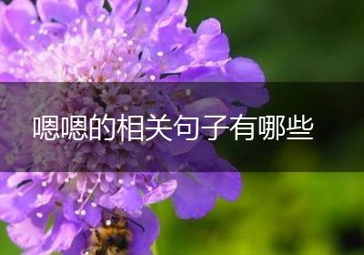 嗯嗯的相关句子有哪些
