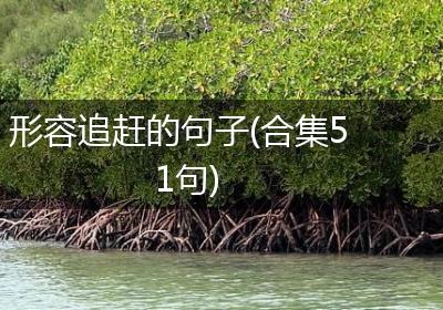 形容追赶的句子(合集51句)