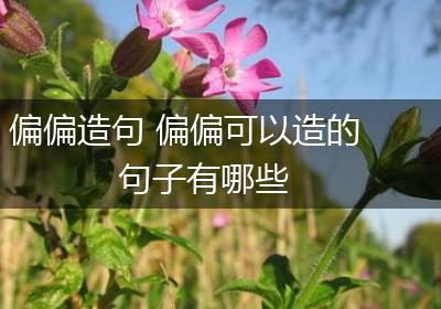 偏偏造句 偏偏可以造的句子有哪些
