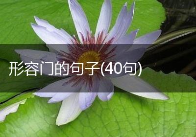 形容门的句子(40句)