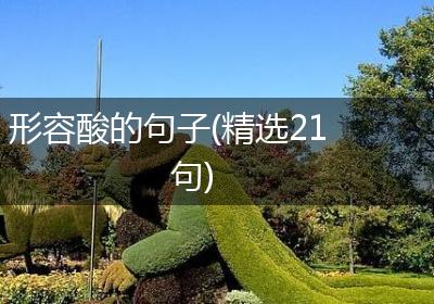 形容酸的句子(精选21句)