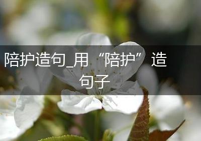陪护造句_用“陪护”造句子
