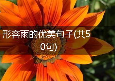 形容雨的优美句子(共50句)