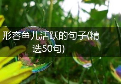 形容鱼儿活跃的句子(精选50句)