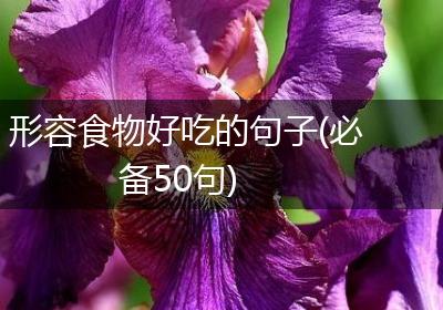 形容食物好吃的句子(必备50句)