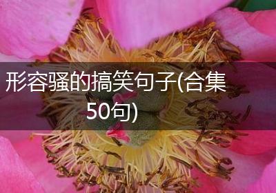 形容骚的搞笑句子(合集50句)