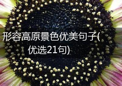 形容高原景色优美句子(优选21句)