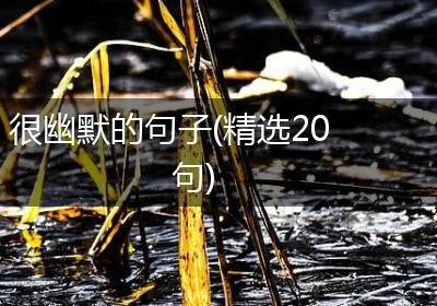 很幽默的句子(精选20句)