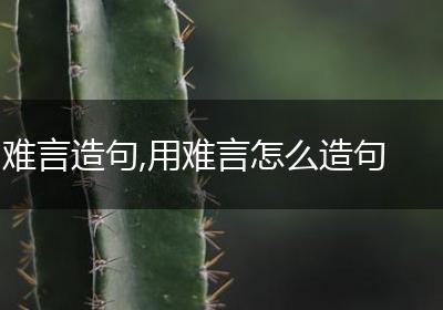 难言造句,用难言怎么造句