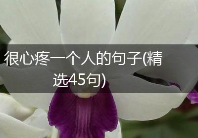 很心疼一个人的句子(精选45句)
