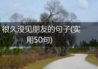 很久没见朋友的句子(实用50句)
