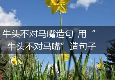 牛头不对马嘴造句_用“牛头不对马嘴”造句子