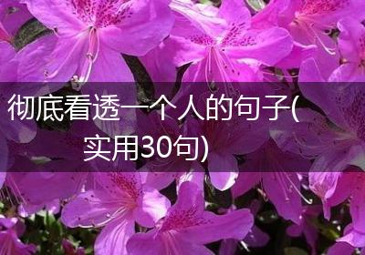 彻底看透一个人的句子(实用30句)