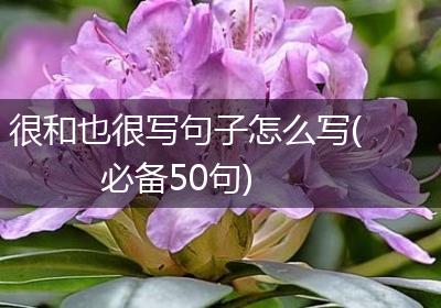 很和也很写句子怎么写(必备50句)