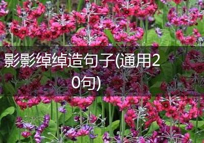 影影绰绰造句子(通用20句)