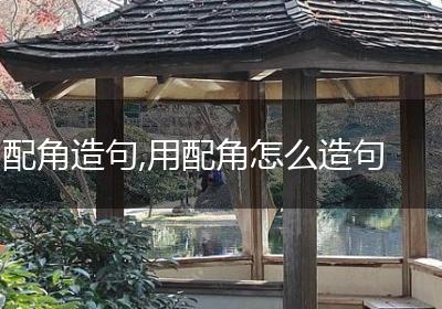 配角造句,用配角怎么造句