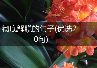彻底解脱的句子(优选20句)
