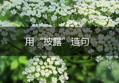 用“披露”造句
