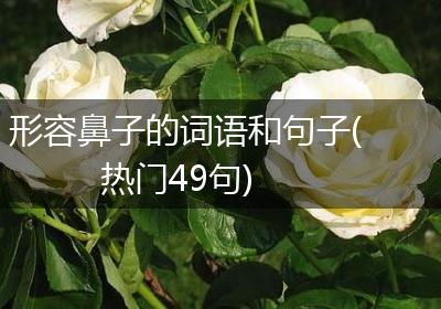 形容鼻子的词语和句子(热门49句)