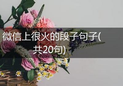 微信上很火的段子句子(共20句)
