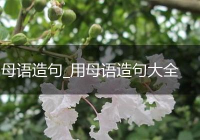 母语造句_用母语造句大全