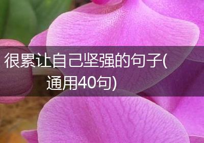 很累让自己坚强的句子(通用40句)
