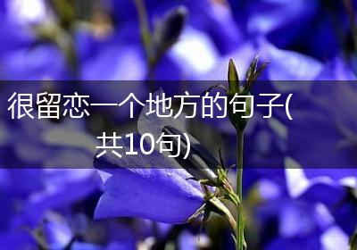 很留恋一个地方的句子(共10句)