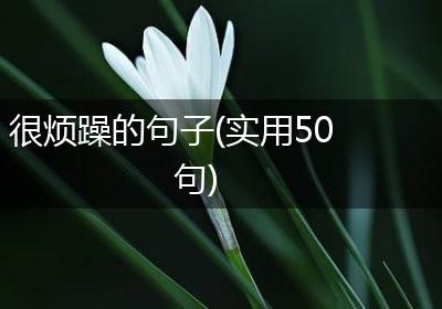 很烦躁的句子(实用50句)