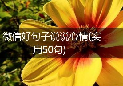 微信好句子说说心情(实用50句)