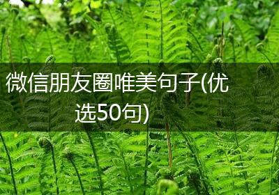 微信朋友圈唯美句子(优选50句)