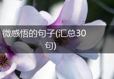 微感悟的句子(汇总30句)
