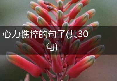 心力憔悴的句子(共30句)