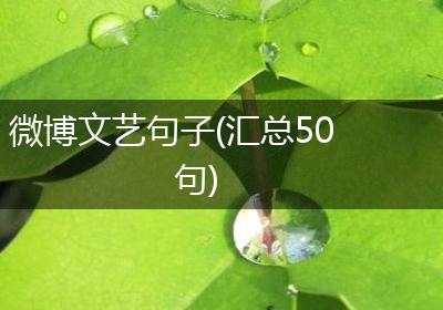 微博文艺句子(汇总50句)