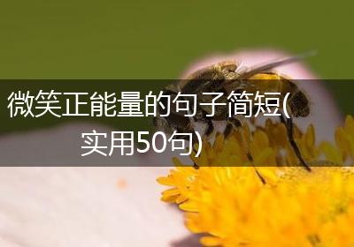 微笑正能量的句子简短(实用50句)