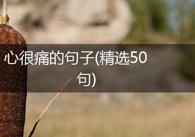 心很痛的句子(精选50句)