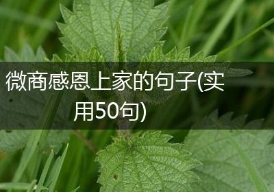 微商感恩上家的句子(实用50句)